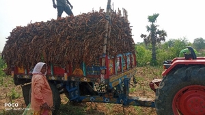 ఫోటో 5