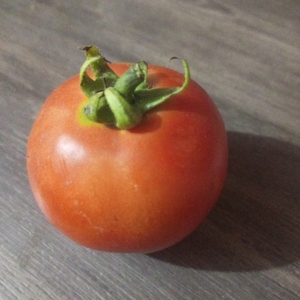തക്കാളി 