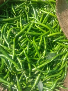 പച്ചമുളക്