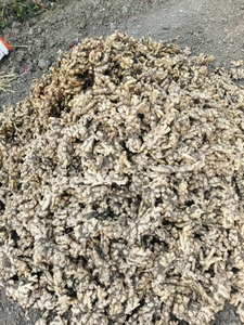ഫോട്ടോ 2