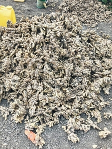 ഫോട്ടോ 3
