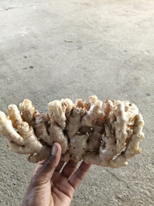 ഫോട്ടോ 4