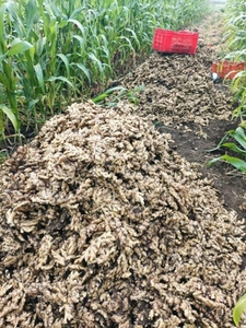 ഫോട്ടോ 2