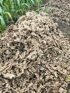 ഫോട്ടോ 5