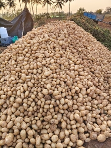 ఫోటో 3