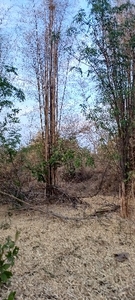 படம் 2
