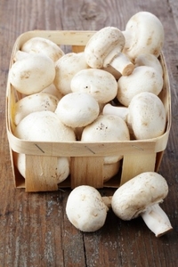 Mushrooms 