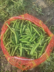 బఠానీలు
