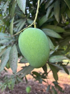 ಫೋಟೋ 2