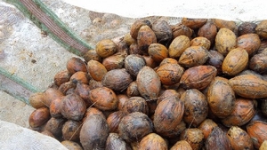 ഫോട്ടോ 2