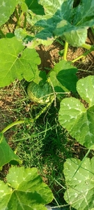 ഫോട്ടോ 2