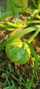 ഫോട്ടോ 3