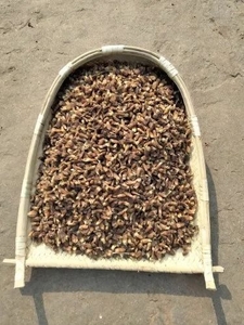 ఫోటో 2