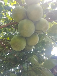 ఫోటో 3