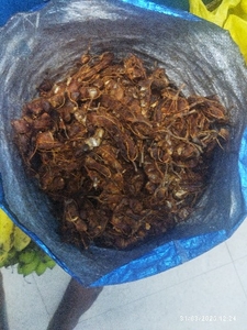 చింతపండు