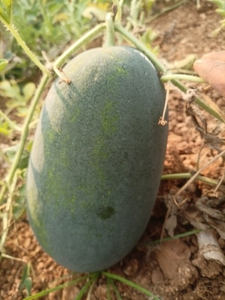 ഫോട്ടോ 5