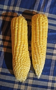 മധുരചോളം 