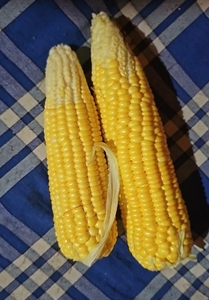 ഫോട്ടോ 2