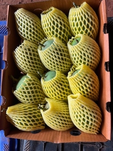 മാമ്പഴം