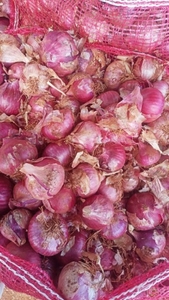ഫോട്ടോ 5