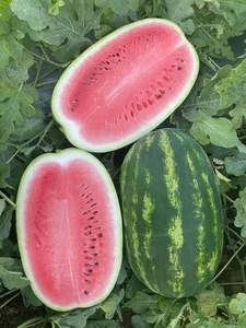 ഫോട്ടോ 3