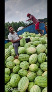 ഫോട്ടോ 4