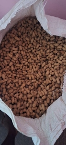 ഫോട്ടോ 2