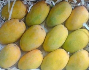 మామిడి
