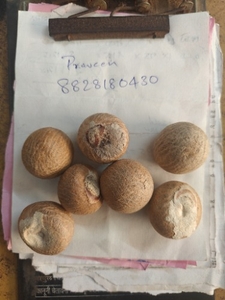 ഫോട്ടോ 2