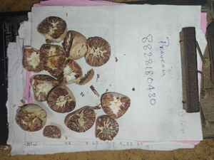 ഫോട്ടോ 3