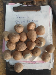 ഫോട്ടോ 4