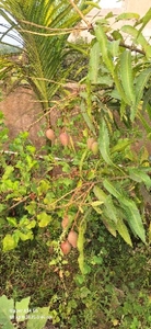 ഫോട്ടോ 2