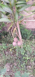 ഫോട്ടോ 3