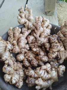 ఫోటో 2