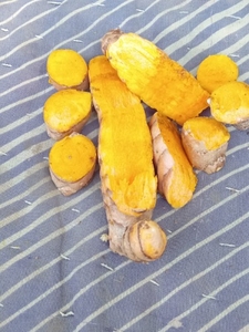 పసుపు
