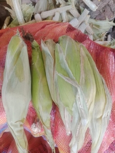 படம் 2