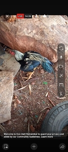 ഫോട്ടോ 3