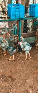 ഫോട്ടോ 4