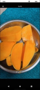 మామిడి