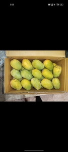 ഫോട്ടോ 2