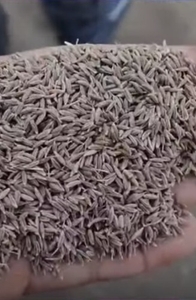 ജീര