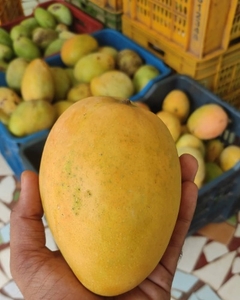 ఫోటో 2