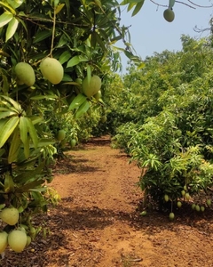 ఫోటో 5
