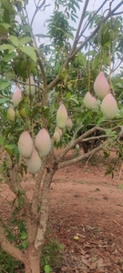 ഫോട്ടോ 2