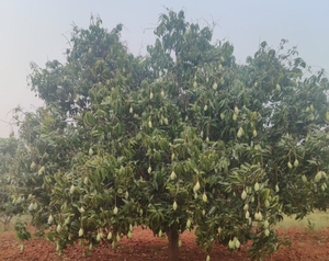 ഫോട്ടോ 3