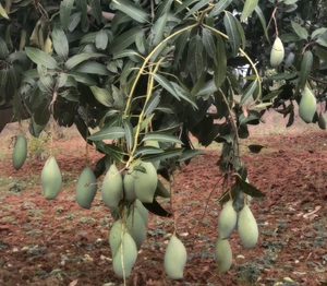 ഫോട്ടോ 4