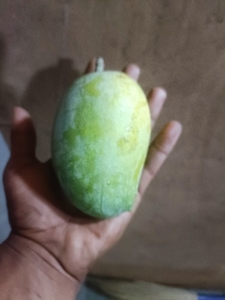 ഫോട്ടോ 2