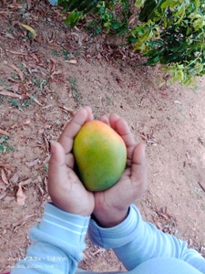 ಫೋಟೋ 2