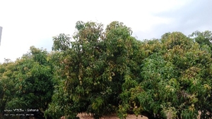 ಫೋಟೋ 3