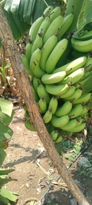 ഫോട്ടോ 2
